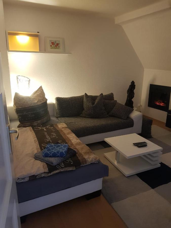 Apartment Am Suedpark Erfurt - Inkl Garten Mit Sitzlounge - Zentrumsnah Kültér fotó