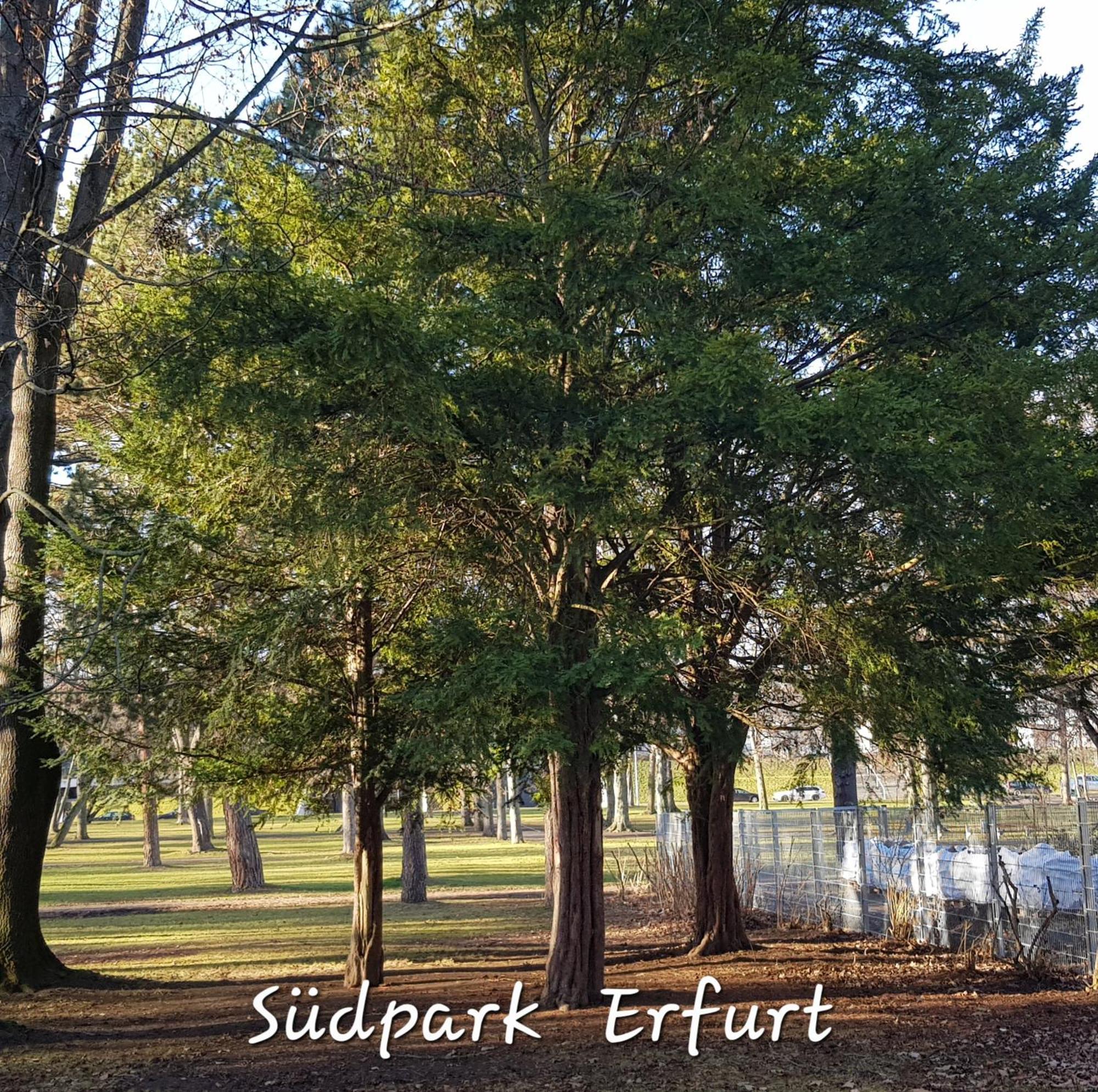 Apartment Am Suedpark Erfurt - Inkl Garten Mit Sitzlounge - Zentrumsnah Kültér fotó